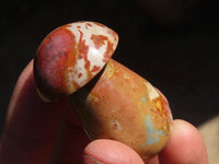 Polished Small Polychrome Jasper Mushrooms  x 35 From Madagascar