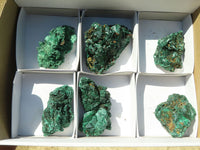 Natural Chatoyant Silky Malachite Specimens  x 6 From Kasompe, Congo - TopRock