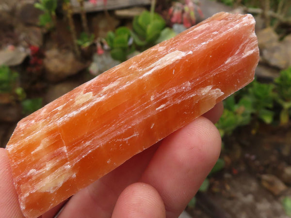 Natural New Sunset Orange Calcite Specimens  x 24 From Spitzkoppe, Namibia - Toprock Gemstones and Minerals 