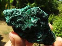 Natural Chatoyant Silky Malachite Specimens  x 6 From Kasompe, Congo - TopRock