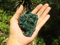 Natural Chatoyant Silky Malachite Specimens  x 6 From Kasompe, Congo - TopRock