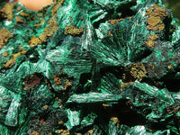 Natural Chatoyant Silky Malachite Specimens  x 6 From Kasompe, Congo - TopRock