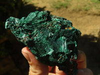 Natural Chatoyant Silky Malachite Specimens  x 6 From Kasompe, Congo - TopRock