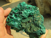 Natural Chatoyant Silky Malachite Specimens  x 3 From Kasompe, Congo