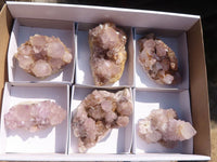 Natural Spirit Amethyst Cactus Quartz Clusters  x 6 From Boekenhouthoek, South Africa - Toprock Gemstones and Minerals 