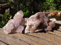 Natural Spirit Amethyst Cactus Quartz Clusters  x 6 From Boekenhouthoek, South Africa - Toprock Gemstones and Minerals 