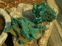 Natural Chatoyant Silky Malachite Specimens  x 3 From Kasompe, Congo