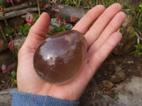 Polished  Stunning Smokey Quartz Gemstone Eggs  x 4 From Madagascar