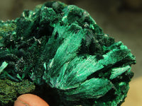 Natural Chatoyant Silky Malachite Specimens  x 3 From Kasompe, Congo