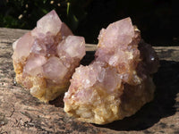 Natural Spirit Amethyst Cactus Quartz Clusters  x 6 From Boekenhouthoek, South Africa - Toprock Gemstones and Minerals 