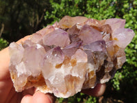 Natural Spirit Amethyst Cactus Quartz Clusters  x 6 From Boekenhouthoek, South Africa - Toprock Gemstones and Minerals 