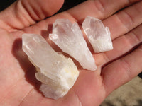 Natural Single Sugar Quartz Crystals x 70 From Madagascar