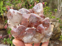 Natural Red Hematoid Quartz Clusters x 2 From Karoi, Zimbabwe