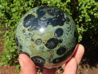 Polished Stromatolite / Kambamba Jasper Spheres  x 2 From Katsepy, Madagascar - Toprock Gemstones and Minerals 