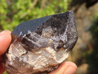 Natural Smokey Quartz Crystal Points x 6 From Malawi