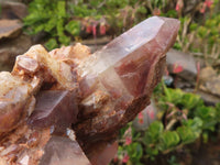 Natural Red Hematoid Quartz Clusters x 2 From Karoi, Zimbabwe