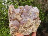 Natural Red Hematoid Quartz Clusters x 2 From Karoi, Zimbabwe