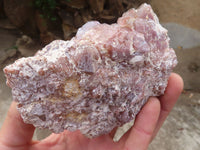 Natural Red Hematoid Quartz Clusters x 2 From Karoi, Zimbabwe