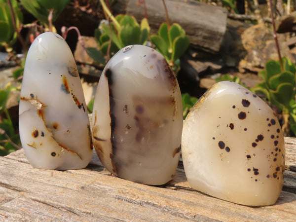 Polished Agate Standing Free Forms  x 6 From Madagascar