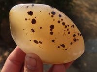 Polished Agate Standing Free Forms x 6 From Madagascar