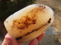 Polished Agate Standing Free Forms x 6 From Madagascar