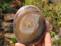 Polished Agate Standing Free Forms x 6 From Madagascar