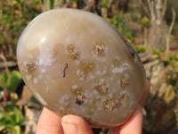 Polished Agate Standing Free Forms x 6 From Madagascar