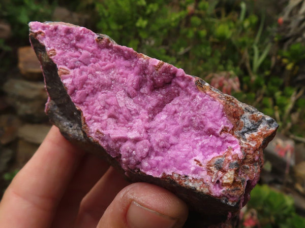 Natural Pink Salrose Cobaltion Dolomite Specimens  x 4 From Kakanda, Congo - Toprock Gemstones and Minerals 