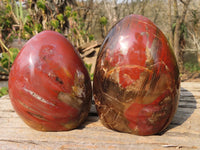 Polished Red Podocarpus Petrified Wood Standing Free Forms x 2 From Mahajanga, Madagascar