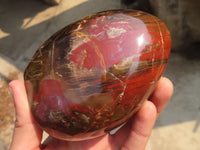 Polished Red Podocarpus Petrified Wood Standing Free Forms x 2 From Mahajanga, Madagascar