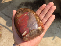 Polished Red Podocarpus Petrified Wood Standing Free Forms x 2 From Mahajanga, Madagascar