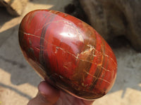 Polished Red Podocarpus Petrified Wood Standing Free Forms x 2 From Mahajanga, Madagascar