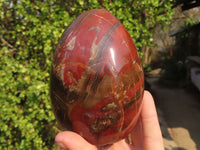 Polished Red Podocarpus Petrified Wood Standing Free Forms x 2 From Mahajanga, Madagascar