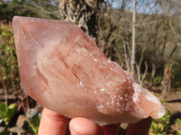 Natural Red Hematoid Phantom Quartz Specimens x 6 From Karoi, Zimbabwe