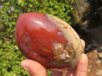 Polished Red Podocarpus Petrified Wood Standing Free Forms x 2 From Mahajanga, Madagascar