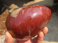 Polished Red Podocarpus Petrified Wood Standing Free Forms x 2 From Mahajanga, Madagascar