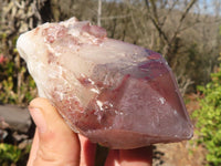 Natural Red Hematoid Phantom Quartz Specimens x 6 From Karoi, Zimbabwe