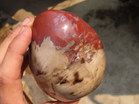 Polished Red Podocarpus Petrified Wood Standing Free Forms x 2 From Mahajanga, Madagascar