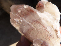 Natural Red Hematoid Phantom Quartz Specimens x 6 From Karoi, Zimbabwe