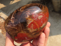 Polished Red Podocarpus Petrified Wood Standing Free Forms x 2 From Mahajanga, Madagascar