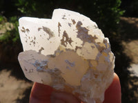 Natural Highly Selected Etched Window Quartz Specimens  x 12 From Madagascar - Toprock Gemstones and Minerals 