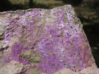 Natural Rough Purple Stichtite (Atlantisite) Specimens  x 3 From Barberton, South Africa - TopRock