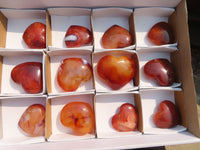 Polished Carnelian Agate Hearts  x 12 From Madagascar