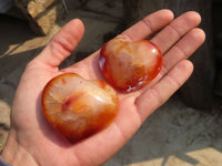 Polished Carnelian Agate Hearts  x 12 From Madagascar