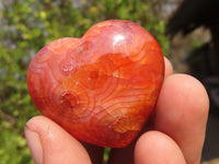 Polished Carnelian Agate Hearts  x 12 From Madagascar