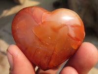 Polished Carnelian Agate Hearts  x 12 From Madagascar