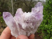 Natural Sugar Amethyst Clusters  x 12 From Solwezi, Zambia - Toprock Gemstones and Minerals 