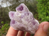 Natural Sugar Amethyst Clusters  x 12 From Solwezi, Zambia - Toprock Gemstones and Minerals 