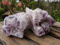 Natural Sugar Amethyst Clusters  x 12 From Solwezi, Zambia - Toprock Gemstones and Minerals 