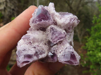 Natural Sugar Amethyst Clusters  x 12 From Solwezi, Zambia - Toprock Gemstones and Minerals 